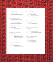 The Chicks with Sticks Guide to Knitting: Learn to Knit with more than 30 Cool, Easy Patterns Paperback – August 19, 2008