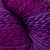 220 Superwash Wave - Grape 117 (Dyelot 15634)