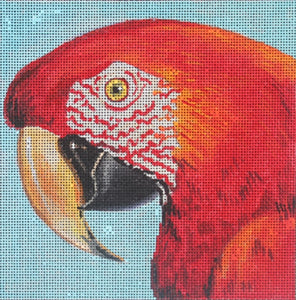 Red Parrot (AN323)